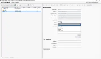 Oracle Capture before migration