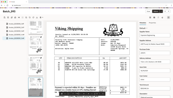 VIsual representation of the document capturing and review process