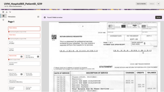VIsual representation of the document capturing and review process