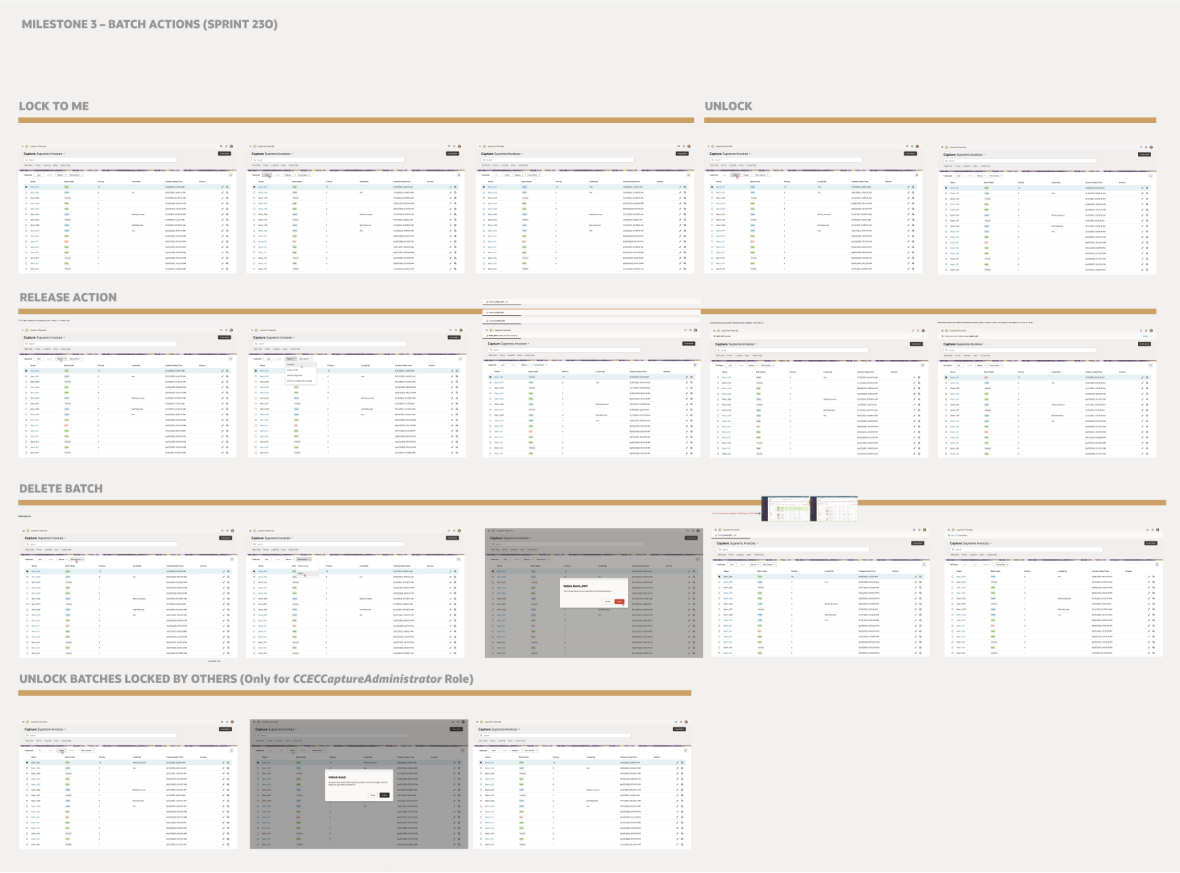 Visual representation of the document capturing and review process